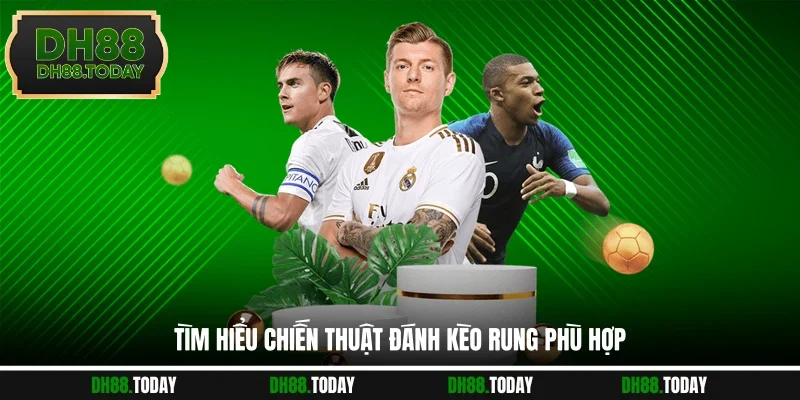 Chiến Thuật Đánh Kèo Rung Thắng Toàn Trận Hiệu Quả Tìm hiểu chiến thuật đánh kèo rung phù hợp