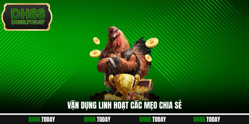 Luật Đá Gà Philippines - Top 3 Kinh Nghiệm Làm Chủ Mọi Ván Vận dụng linh hoạt các mẹo chia sẻ